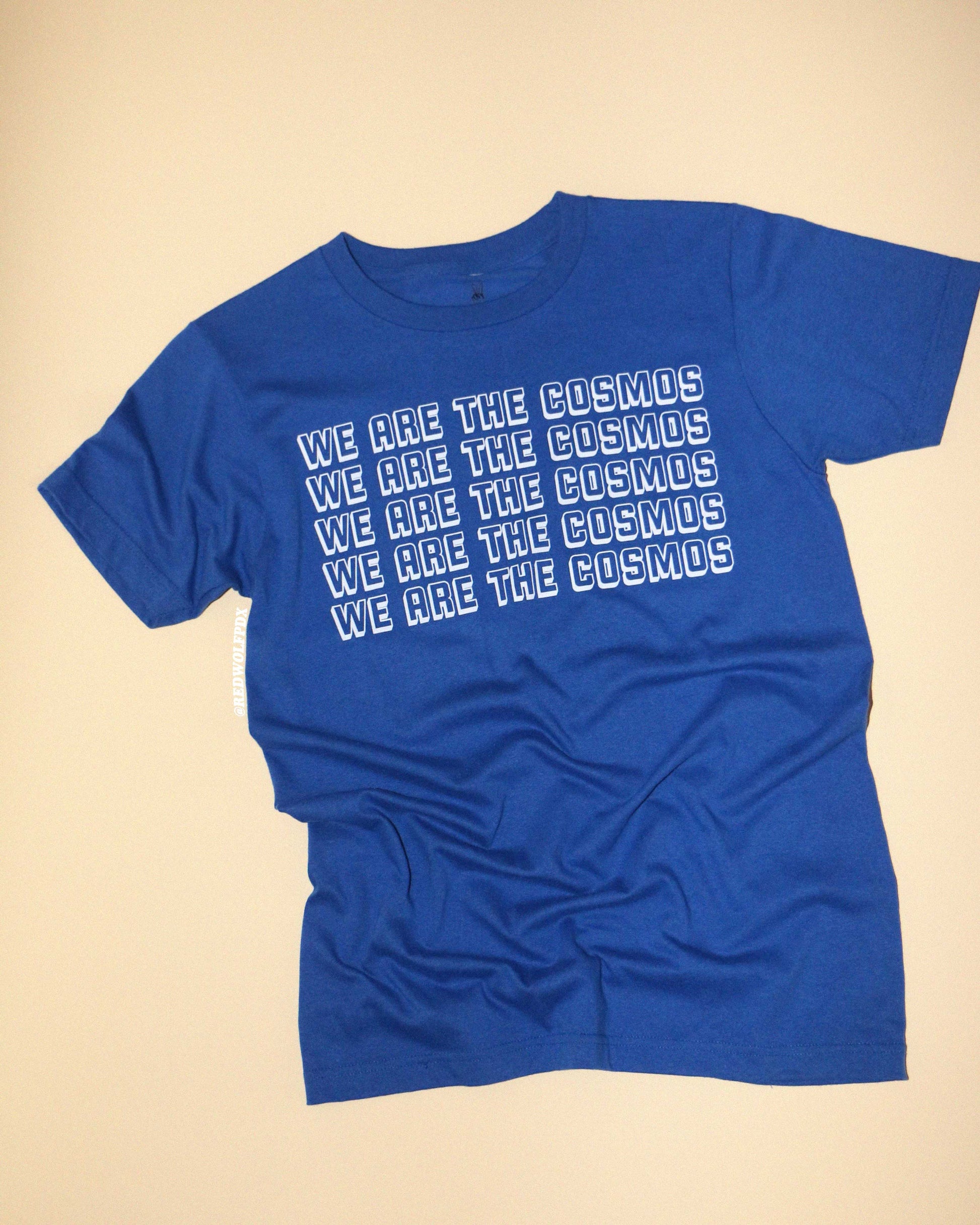 blue graphic tee with text 'WE ARE THE COSMOS' in vintage inspired white ink graphic across chest on beige backdrop