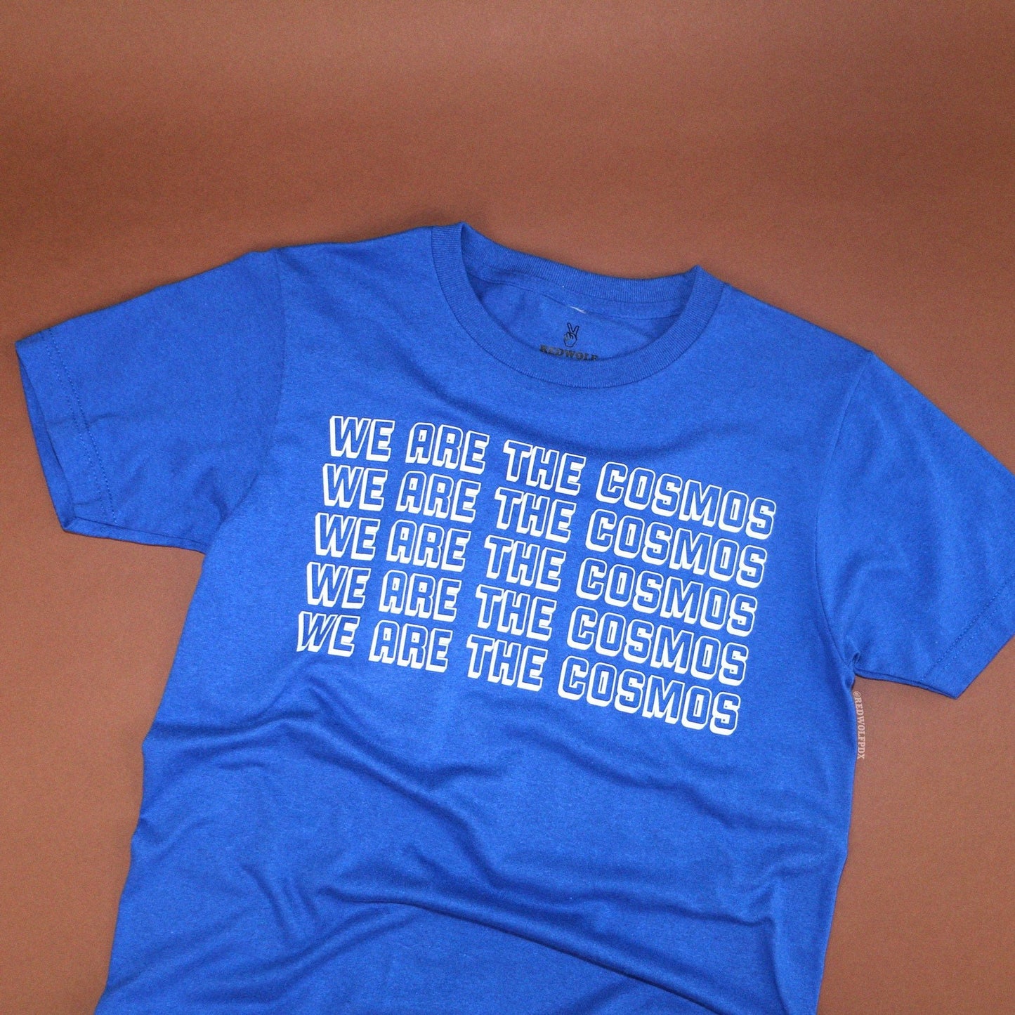 We Are the Cosmos Tee -SAMPLE SALE