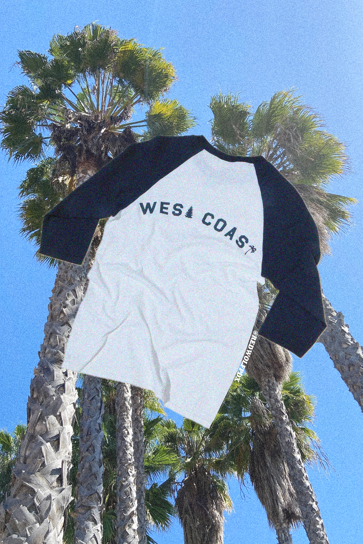 White and black baseball shirt with 'West Coast' text against palm trees and blue sky