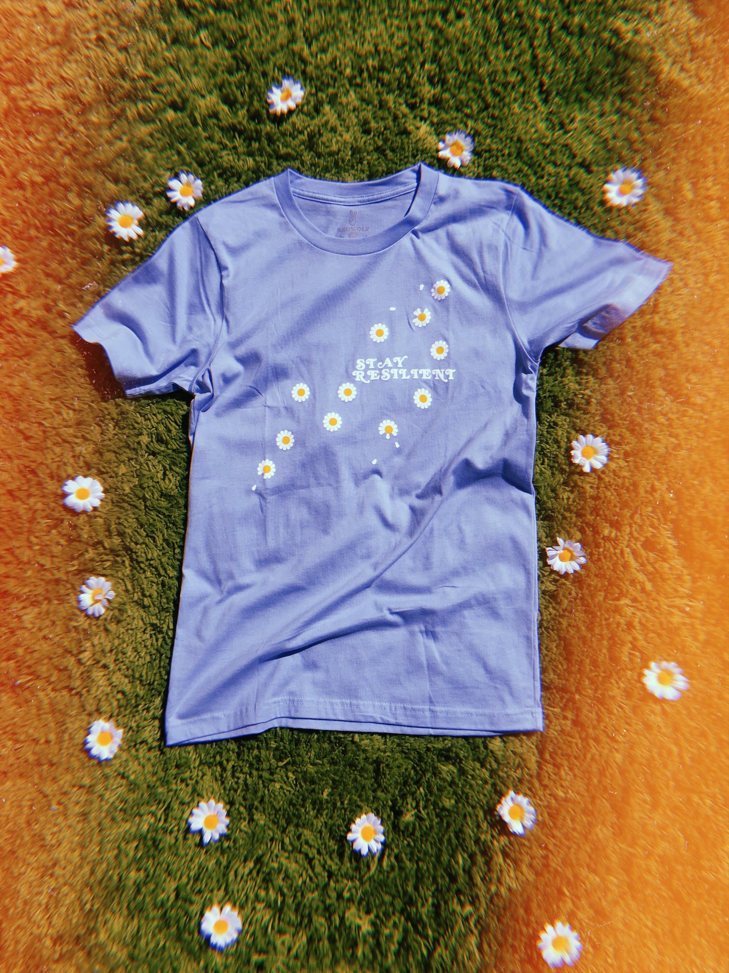 baby blue graphic tee with text 'STAY RESILIENT' with illustrated daisies screen printed down front on a shaggy green rug with daisies scattered around tee
