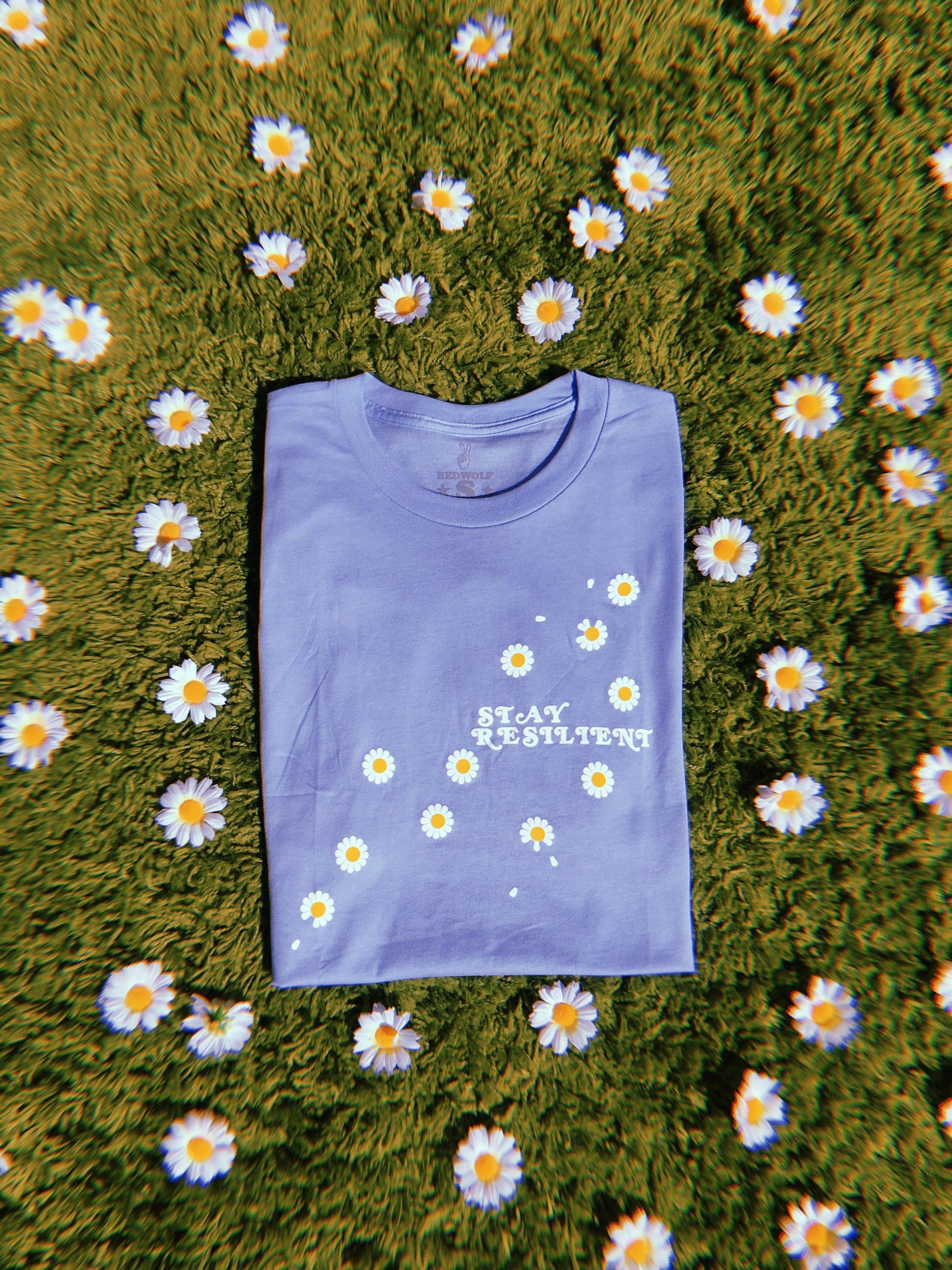 folded baby blue graphic tee with text 'STAY RESILIENT' with illustrated daisies screen printed down front on a shaggy green rug with daisies scattered around the tee