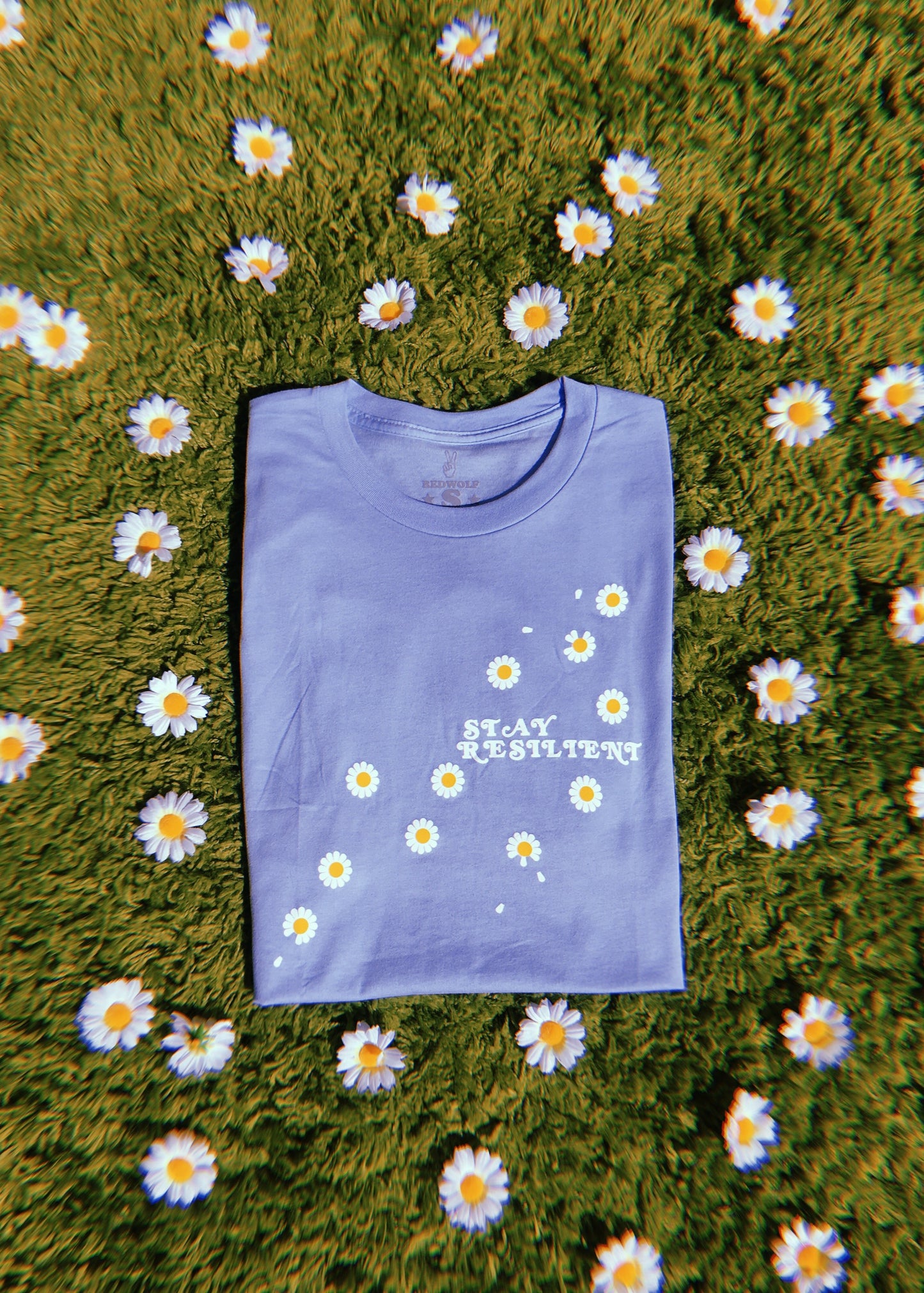 folded baby blue graphic tee with text 'STAY RESILIENT' with illustrated daisies screen printed down front on a shaggy green rug with daisies scattered around the tee