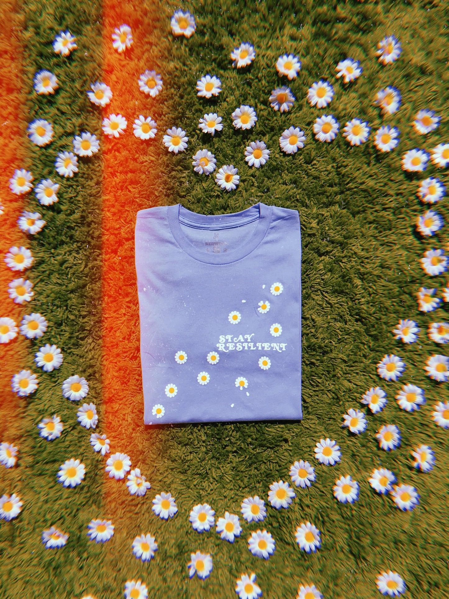 baby blue graphic tee with text 'STAY RESILIENT' with daisies scattered around illustration graphic folded on green grass background with daisies in the shape of a heart around the tee