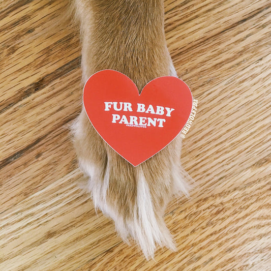 heart shaped red sticker with text 'FUR BABY PARENT' across it rested on dog paw