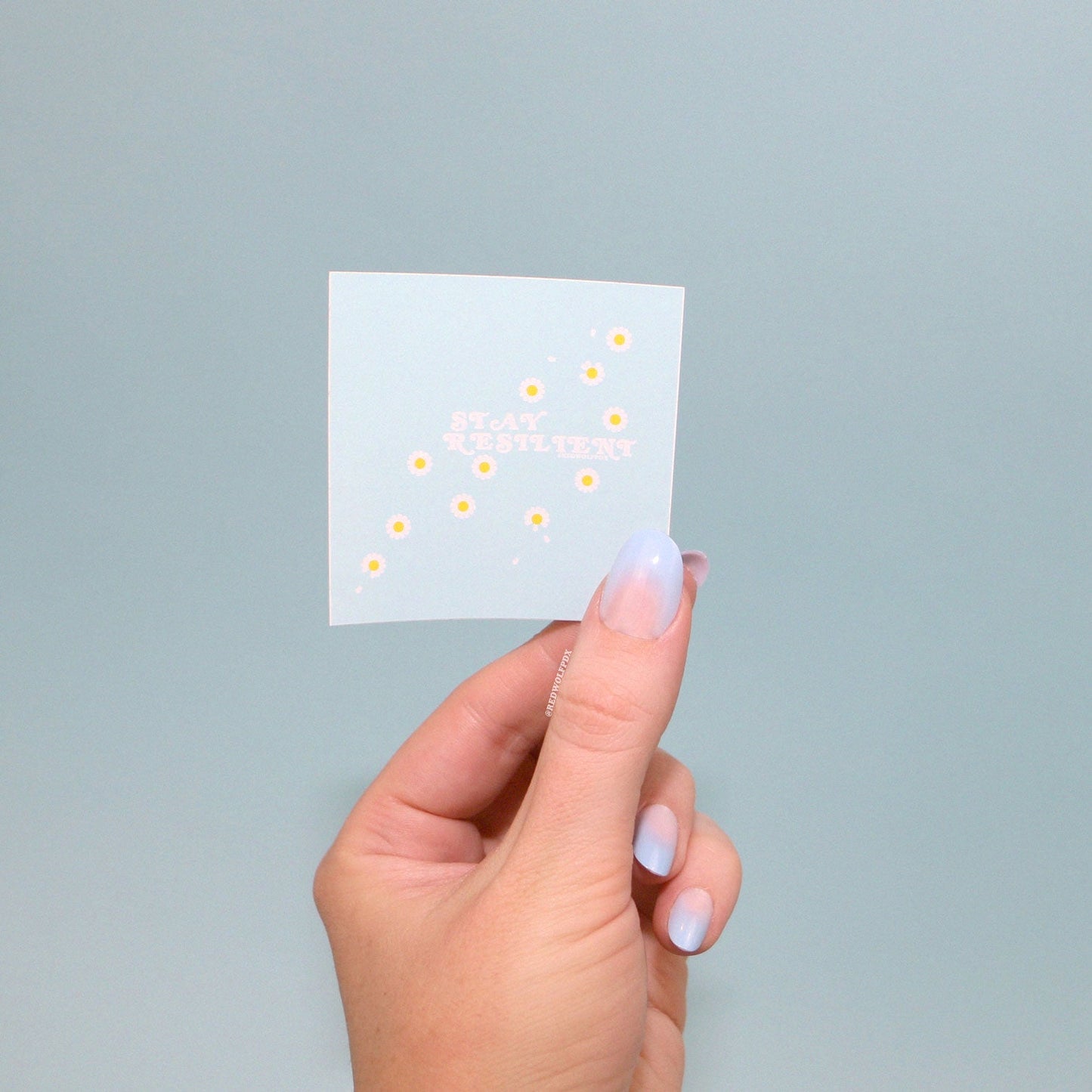 baby blue square sticker with the text 'STAY RESILIENT' with daisy illustration being held in hand against blue backdrop
