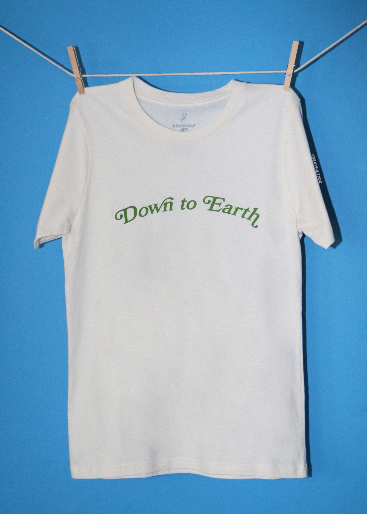 A white short-sleeve t-shirt with 'Down to Earth' printed in green cursive across the chest, hanging from a clothesline with wooden clothespins against a solid blue background.