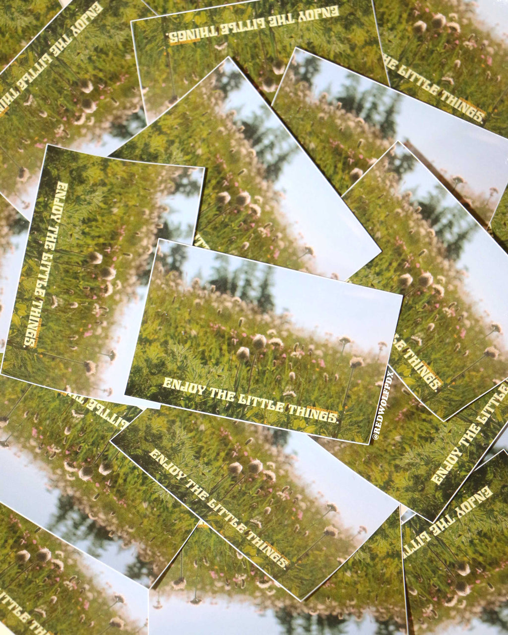 Pile of rectangle stickers of photo of wildflowers with text 'ENJOY THE LITTLE THINGS'
