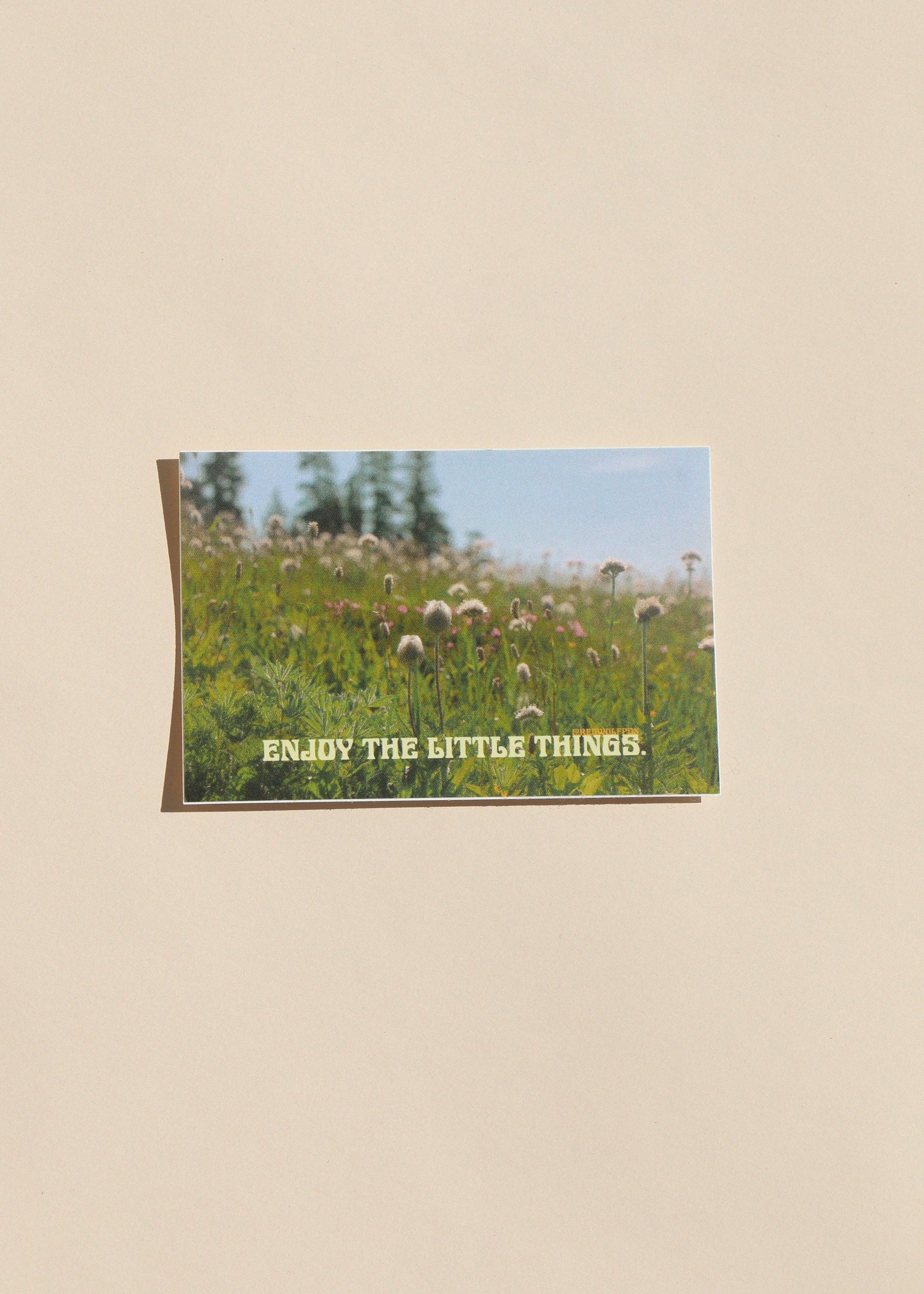 ENJOY THE LITTLE THINGS STICKER - REDWOLF