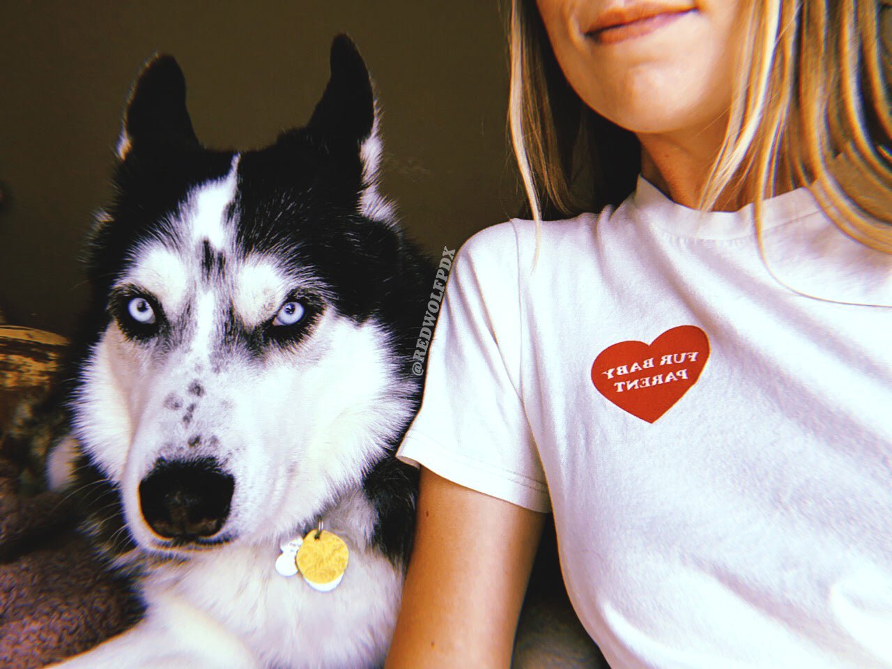 fur baby parent tee - 1