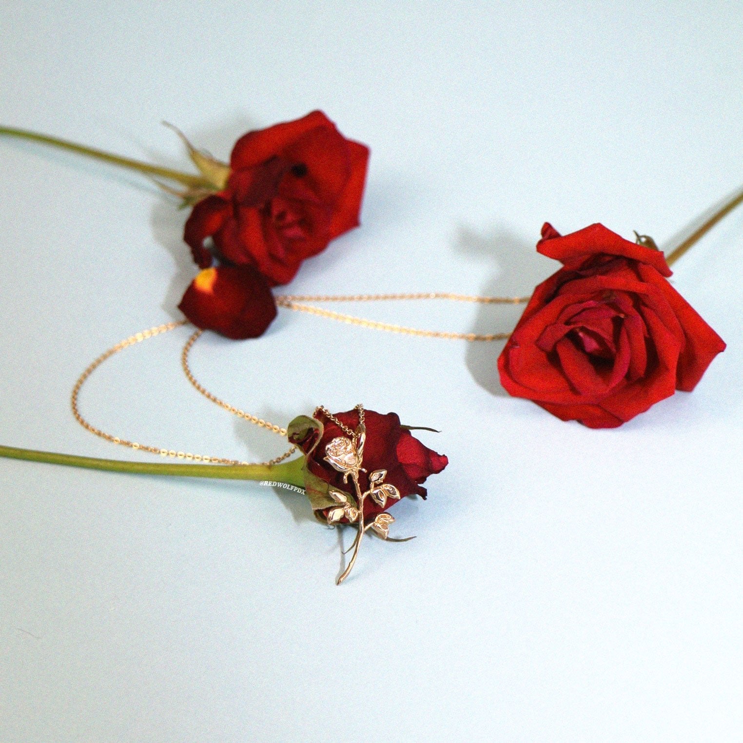brass rose charm hanging from a brass chain necklace surrounded by red roses on a blue backdrop