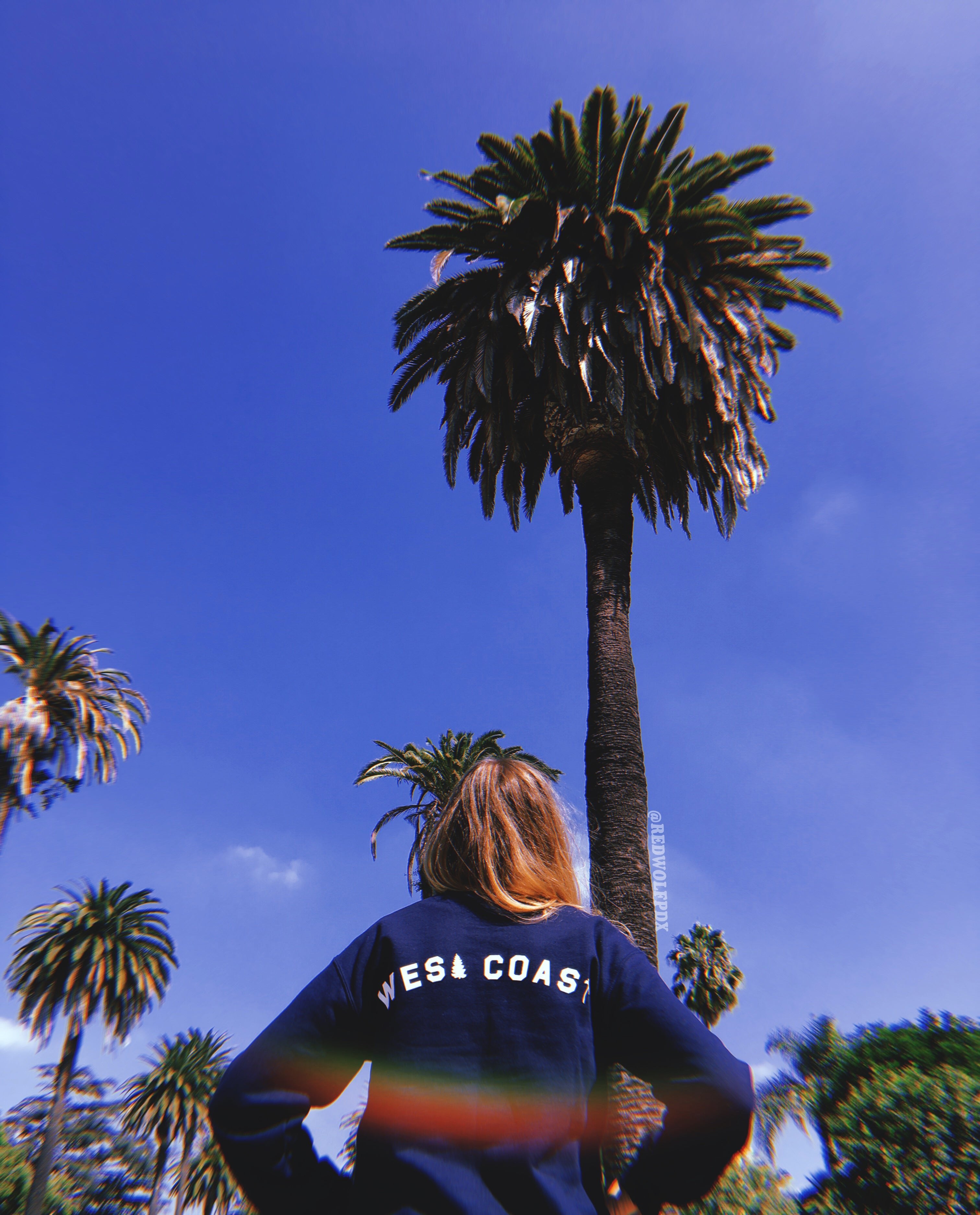 navy blue crewneck with text 'WEST COAST' text across the back being worn in sunny landscape with palm trees